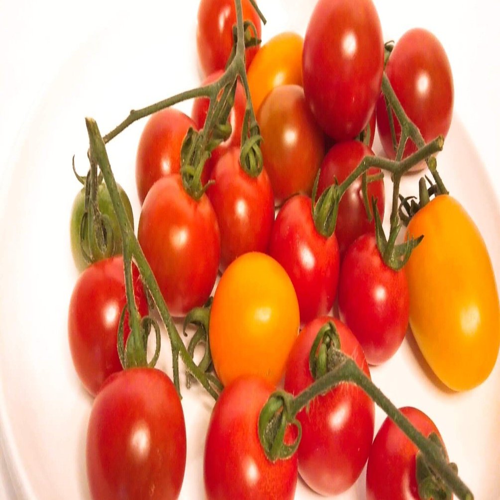 ミニトマト アイコ 色ごと特徴 かえる農園 雄かえる Note