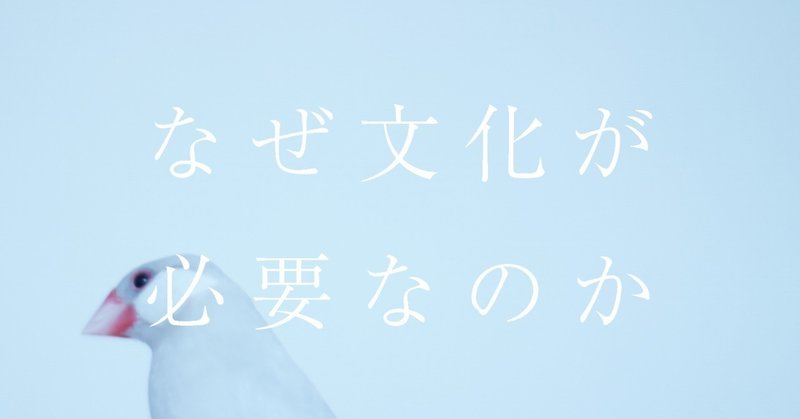 なぜ「文化」が必要なのか。