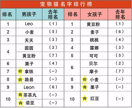 日本と中国 ペットの名前にはとある共通点が 日中２か国語 中国ドキュメンタリー制作会社 和之夢 Note