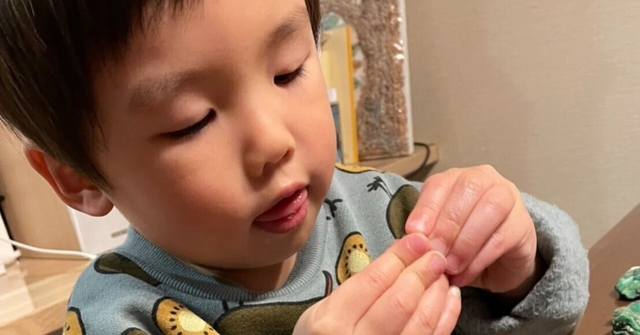 成るべきものになるように出来てるんだ!色んな人の人生を見て思う。|歌う心の専門家『よっしー』