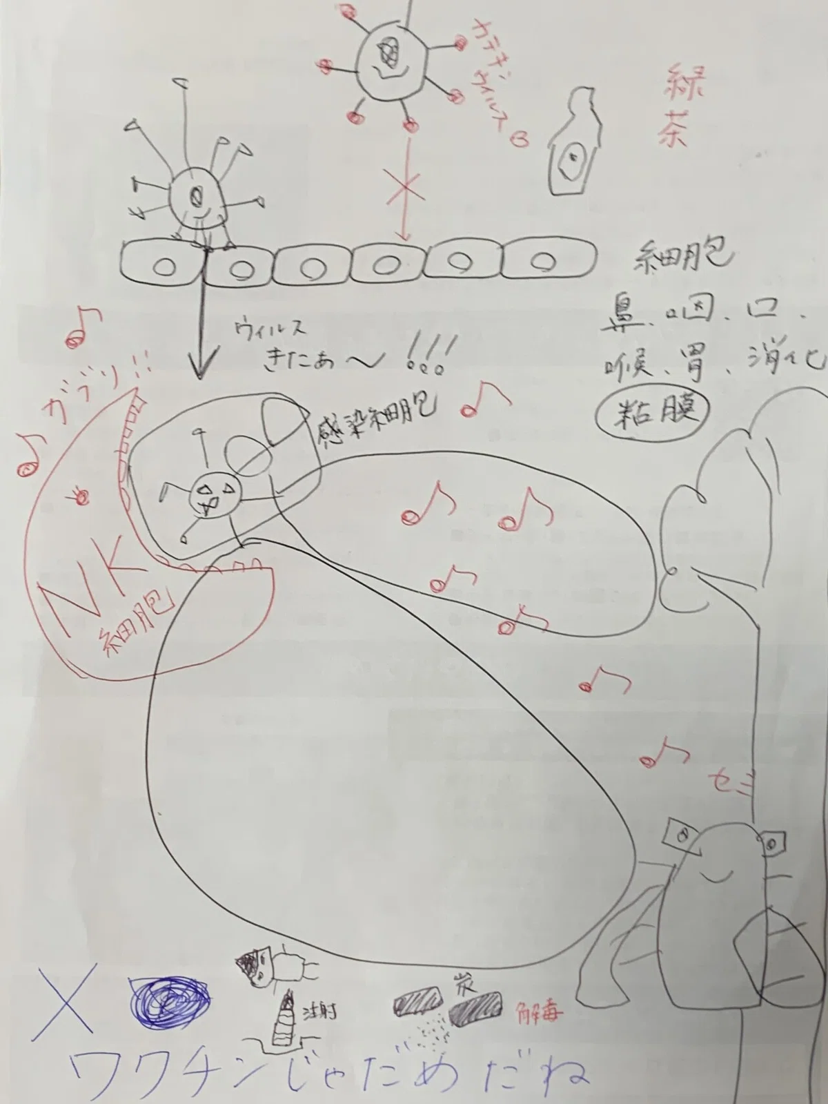 画像4
