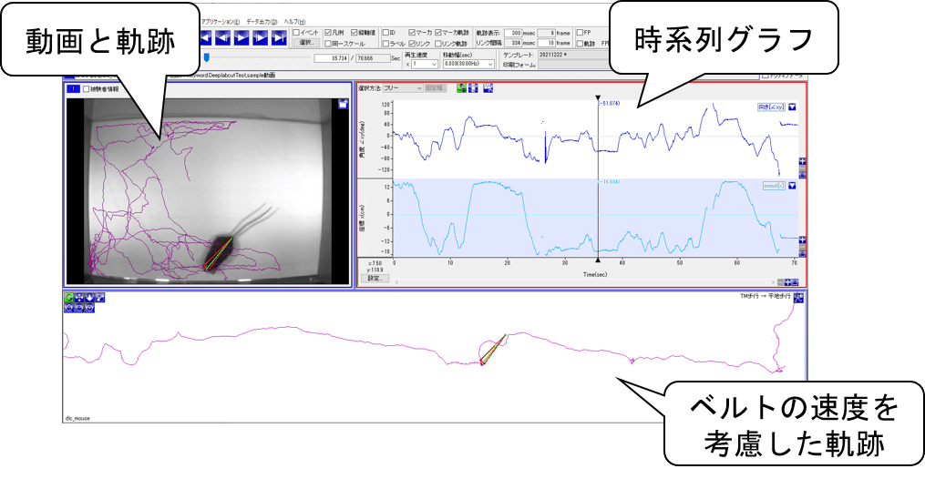 画像10