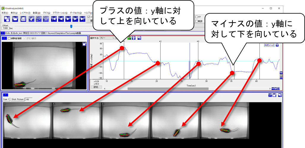 画像9
