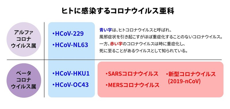 ヒトに感染するコロナウイルス亜科