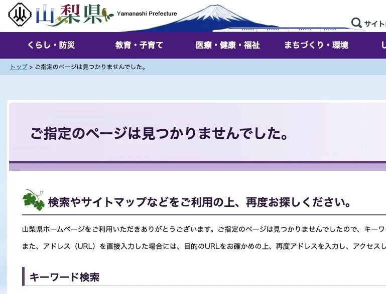 画像15