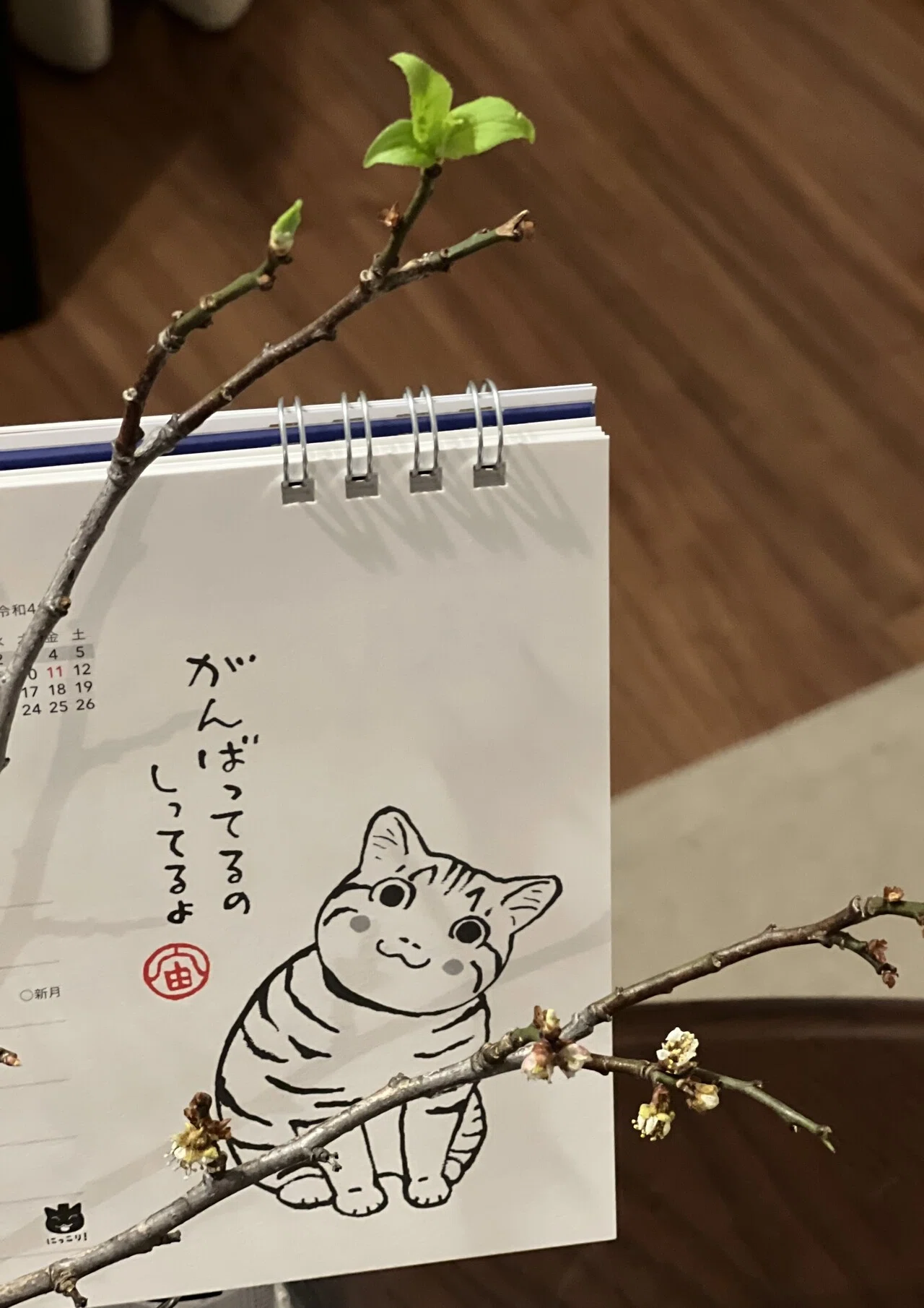 お正月用に 昨年末に求めた梅の枝です 花はとっくに終わりましたが ずっと他の花と花瓶に入れていたら なんと芽がでてまいりました 生きておりますね 挿し木 いけるかなあ 初挑戦 穂音 ほのん Note お正月用に 昨年末に求めた梅の枝です 花はとっくに終わりましたが ずっと他の花と花瓶に入れていたら なんと芽がでてまいりました 生きておりますね 挿し木 いけるかなあ 初挑戦 穂音 ほのん Note