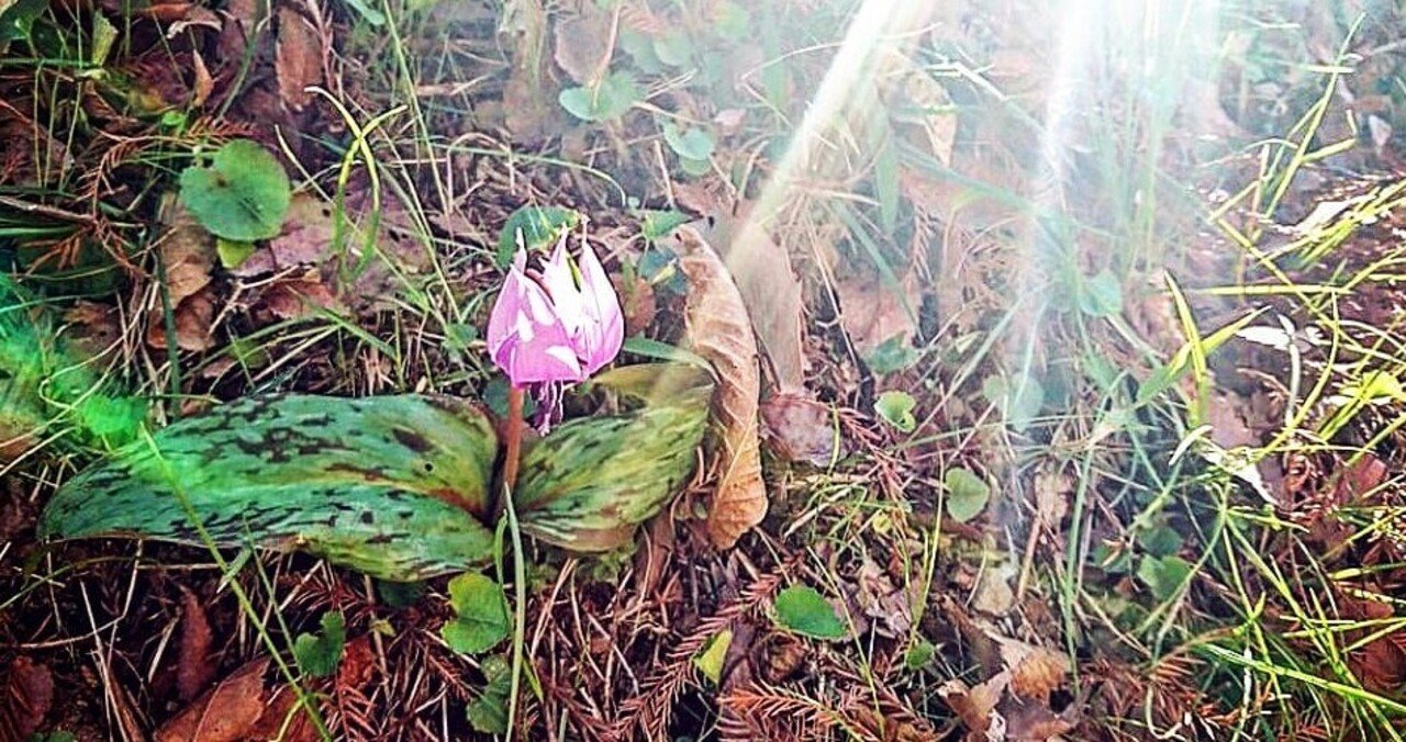 シナストリー 金星とカイロン キロン のアスペクト 金星側はカイロンの傷を癒す 無意識に自身の治癒者を呼ぶカイロン リョウ 海外の占星術の翻訳 タロット 潜在意識書き換え 虐待年を描く漫画家 Note シナストリー 金星とカイロン キロン のアスペクト 金星側はカイロンの傷を癒す 無意識に自身の治癒者を呼ぶカイロン リョウ 海外の占星術の翻訳 タロット 潜在意識書き換え 虐待年を描く漫画家 Note