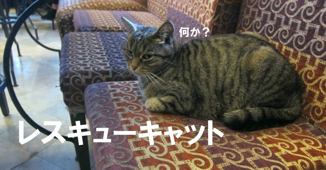 レスキューキャット Mami Note レスキューキャット Mami Note