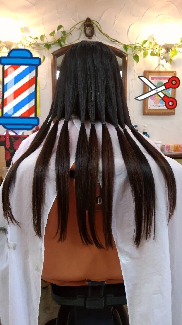 去年の春 へアドネイション｜イレウス
