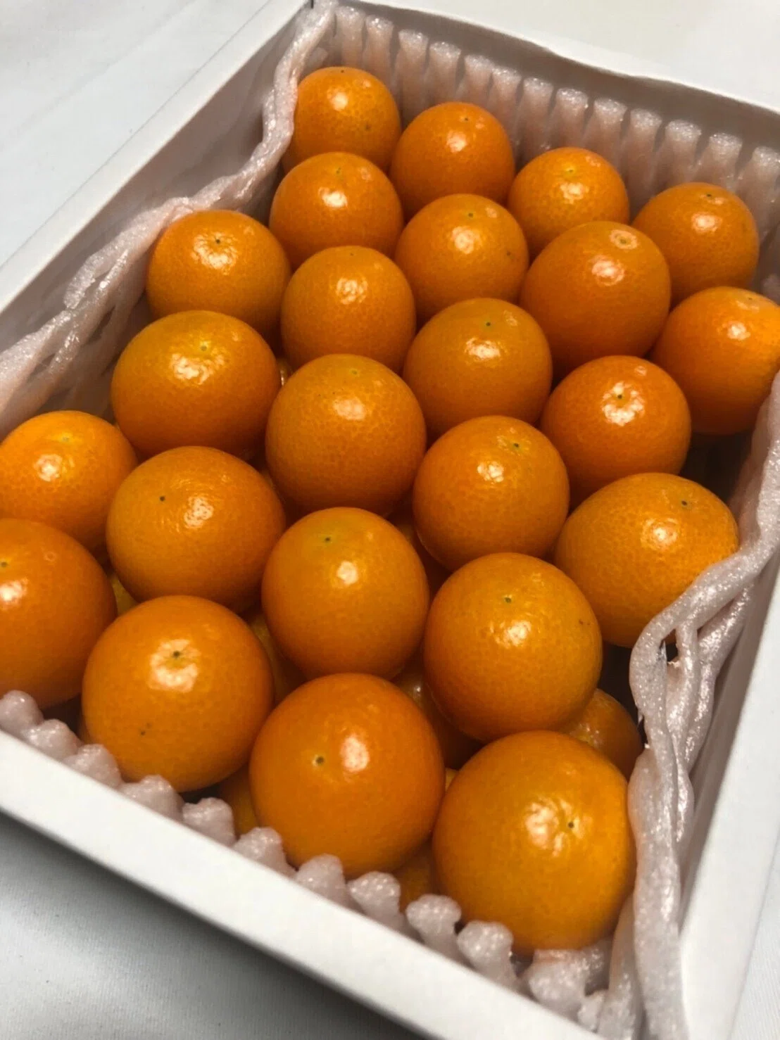 みやざきブランド、完熟きんかん「たまたま」と「たまたまエクセレント