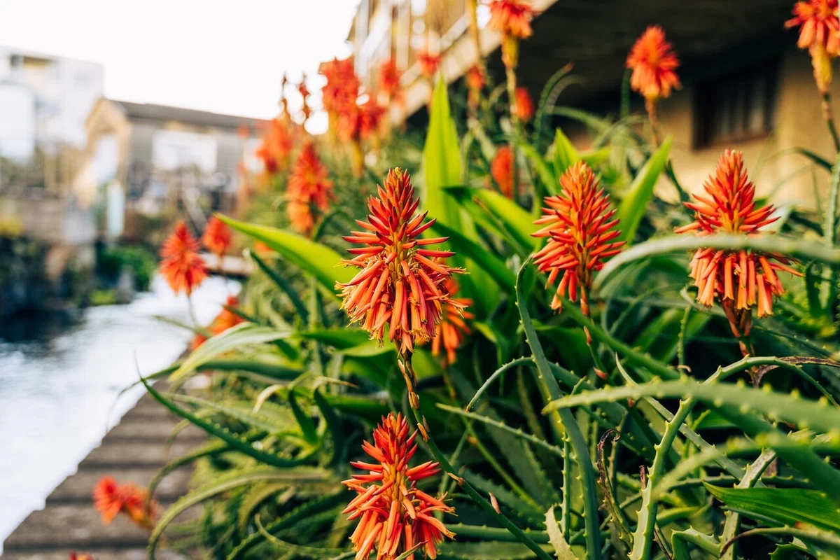 画像23