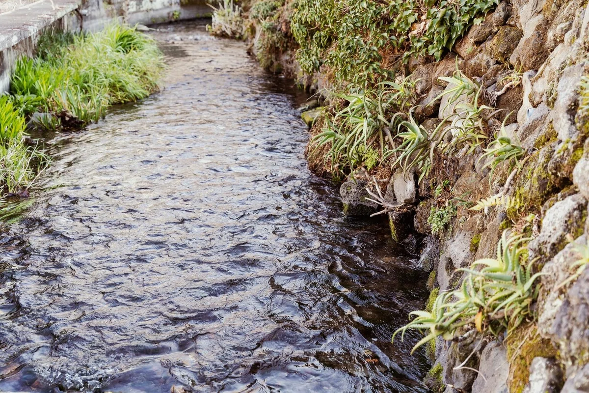 画像30