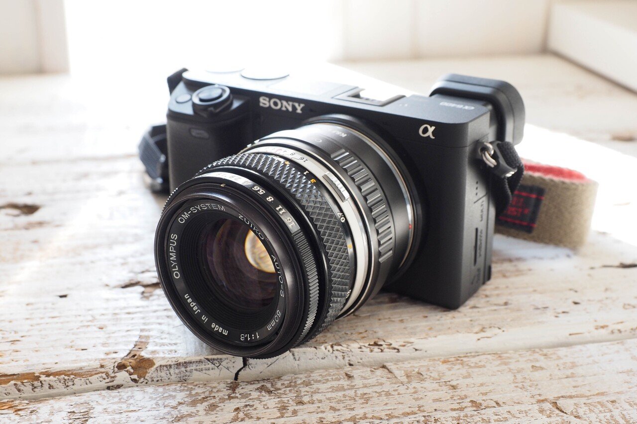 思い出したのは「丁寧に撮ること」OLYMPUS OM-SYSTEM ZUIKO AUTO 思い出したのは「丁寧に撮ること」OLYMPUS OM-SYSTEM ZUIKO AUTO