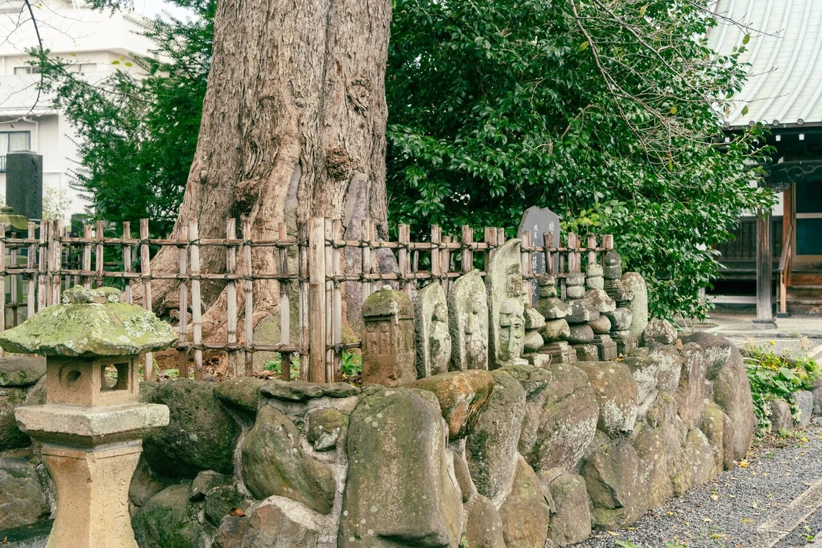 画像90