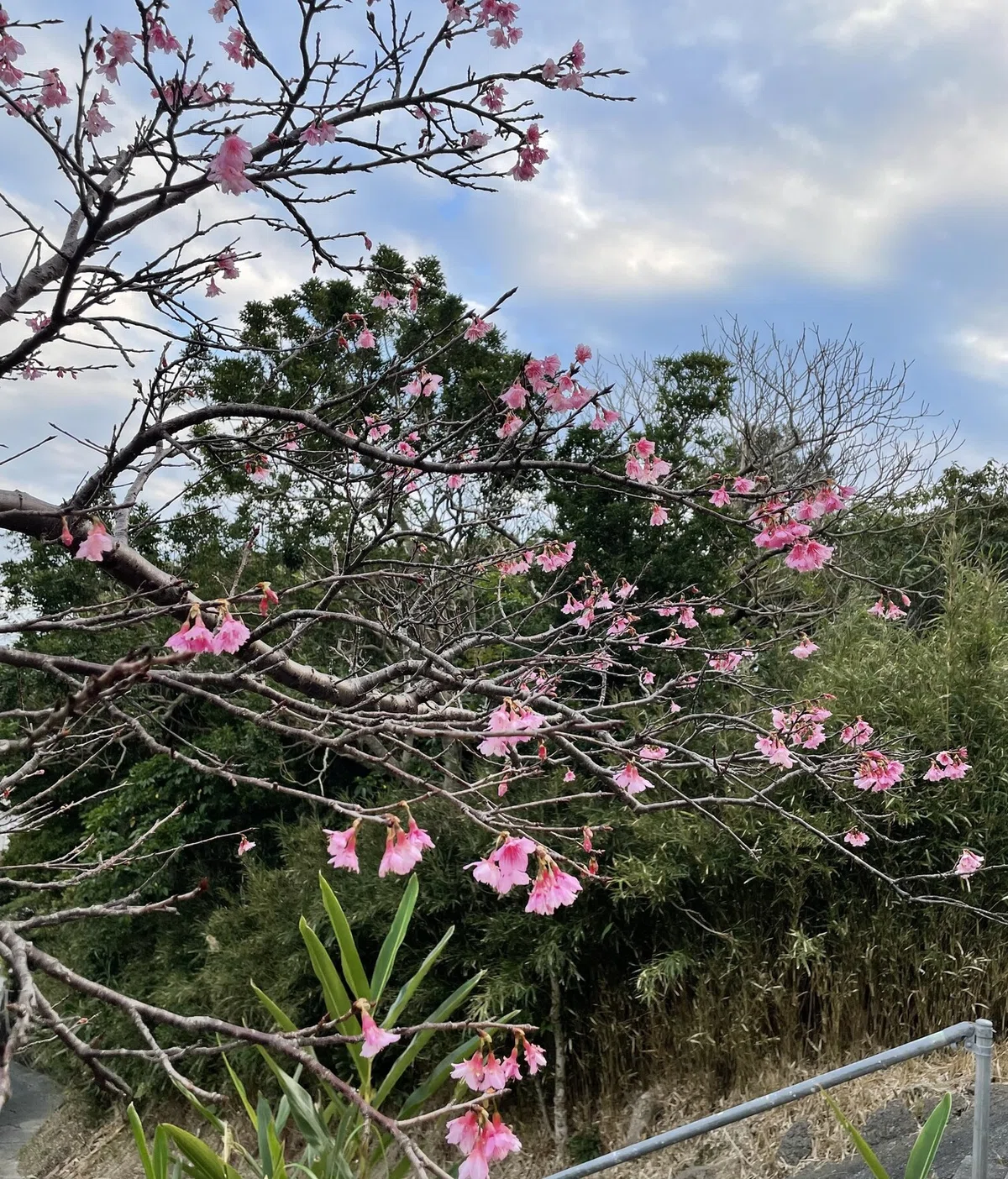 画像10