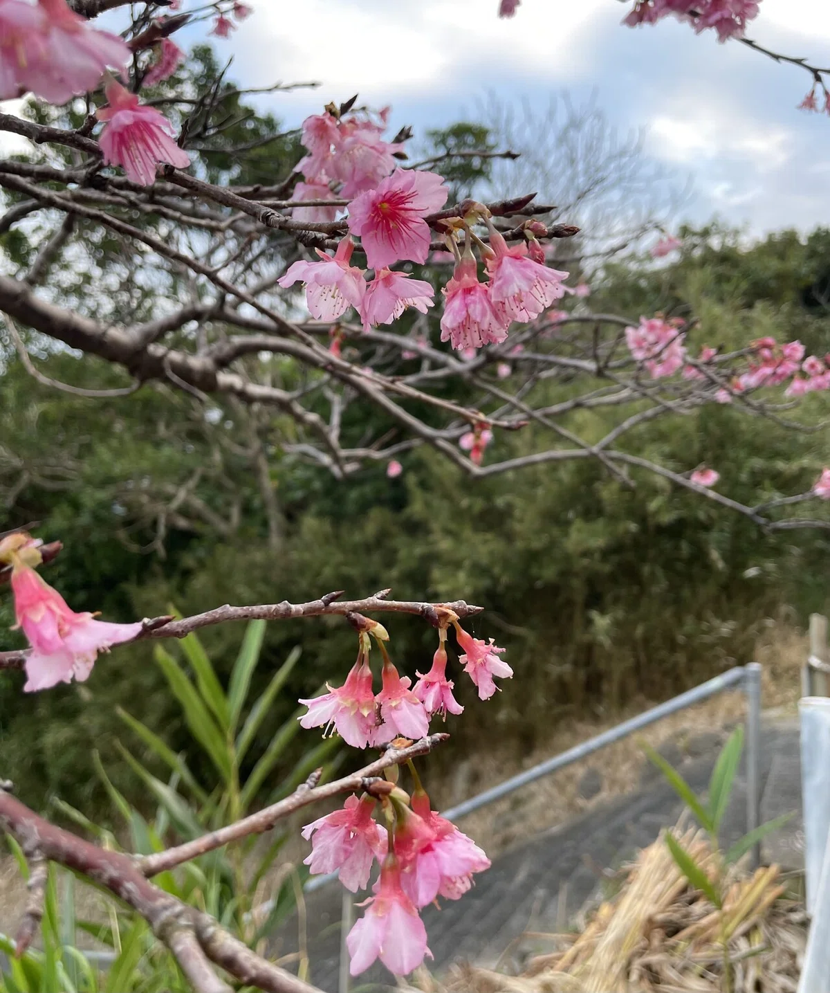画像11