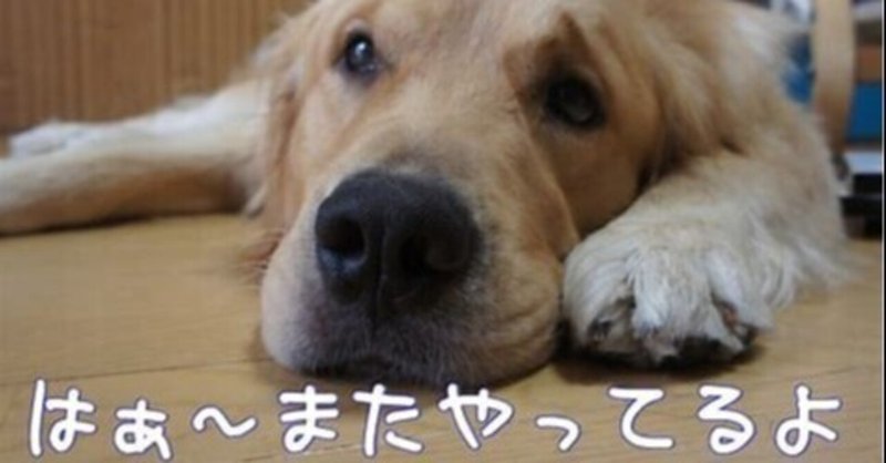 夫婦喧嘩は犬も食わない あほろーとる Note