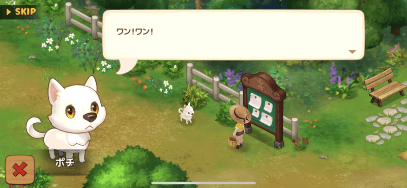 【リアルファーム】特級ブロッコリーとポチ｜green_thumb