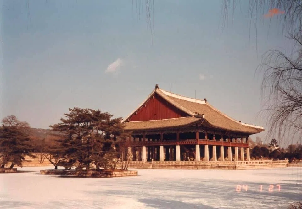 画像13
