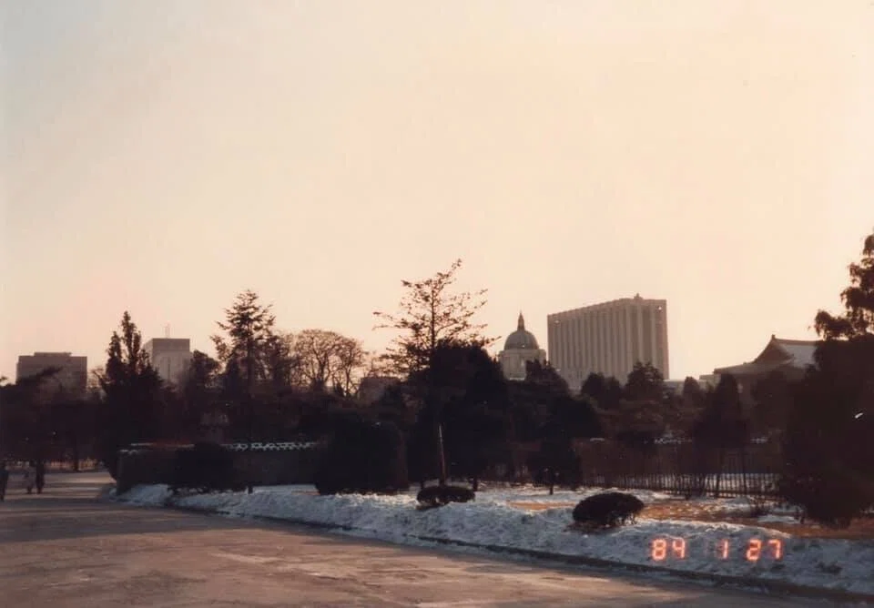 画像16