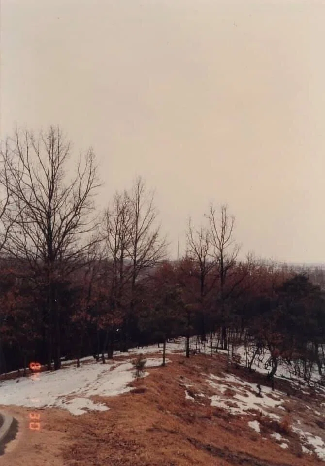 画像34