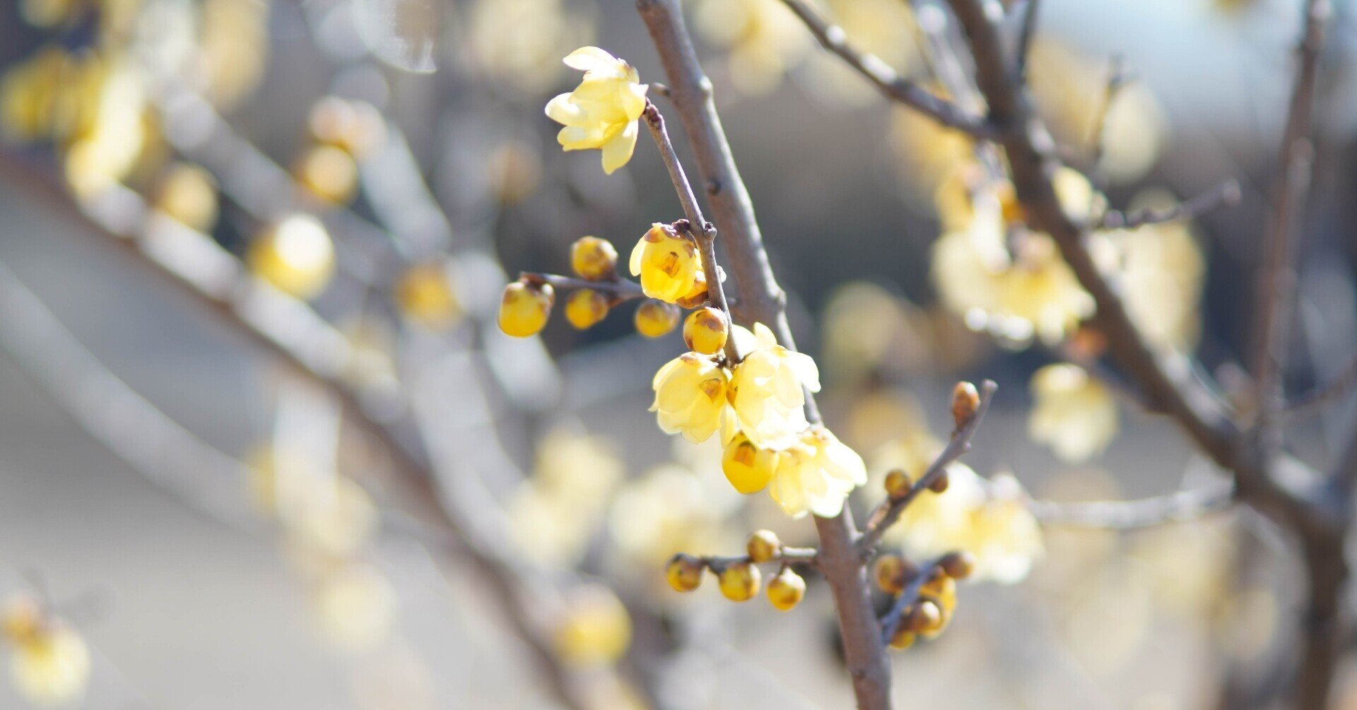 我が心のレンズ OLYMPUS ZUIKO 75-150mm 1:4+SONY α6400｜at.k