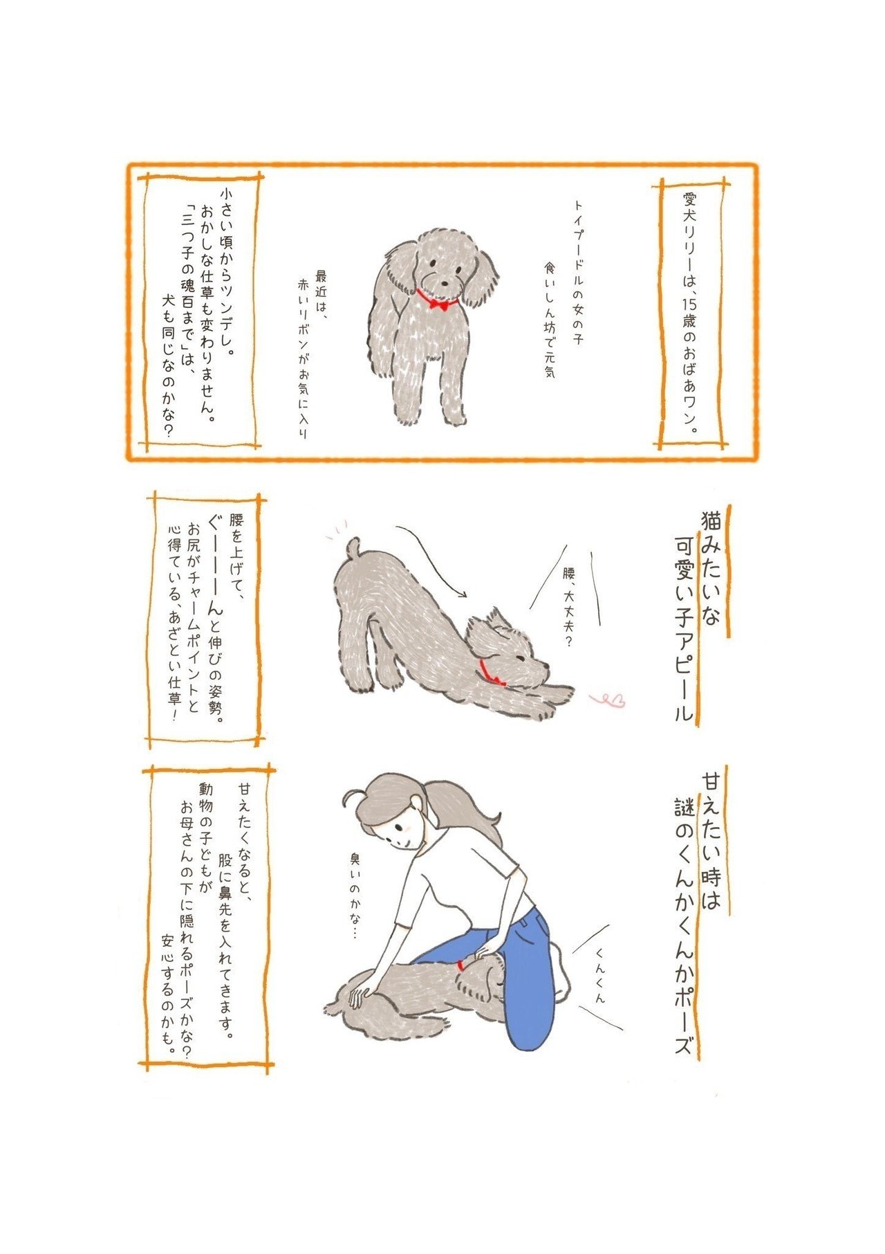 ヨガするワンコ Lio Note ヨガするワンコ Lio Note