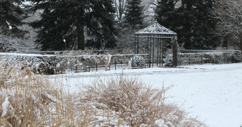 # 55 ニューヨークの園芸業界の冬のソーシャルイベント。Plant-O-Rama レポート（１）