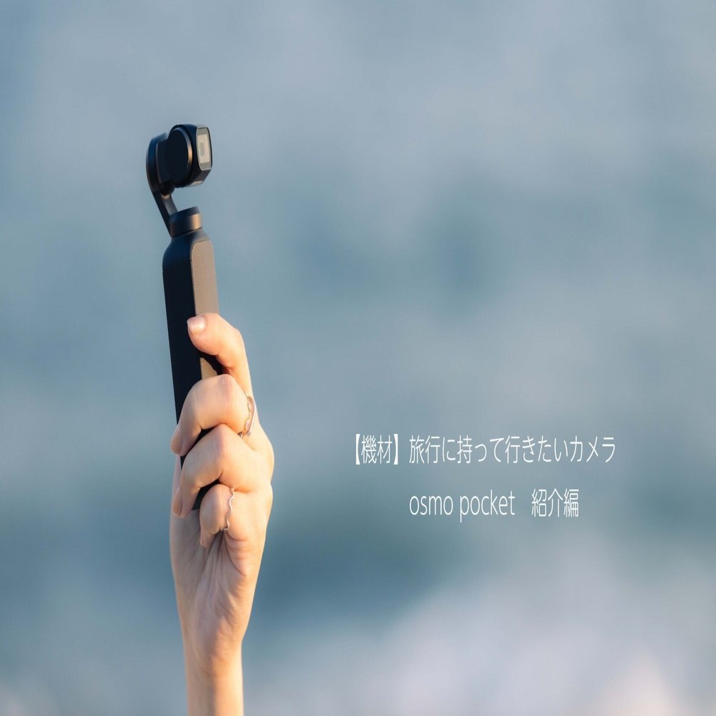 優先配送 行楽のお供に DJI OSMO POCKET ビデオカメラ - abacus-rh.com