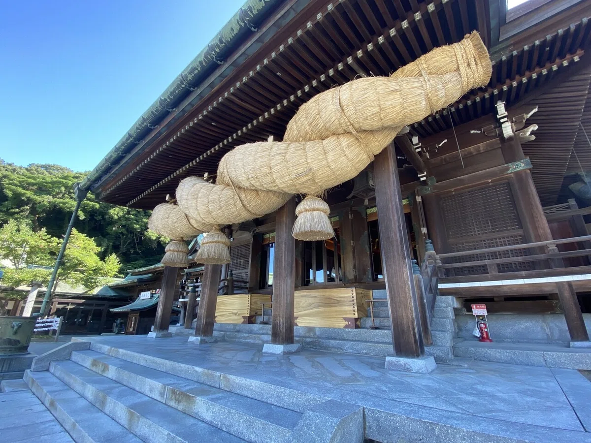 画像7