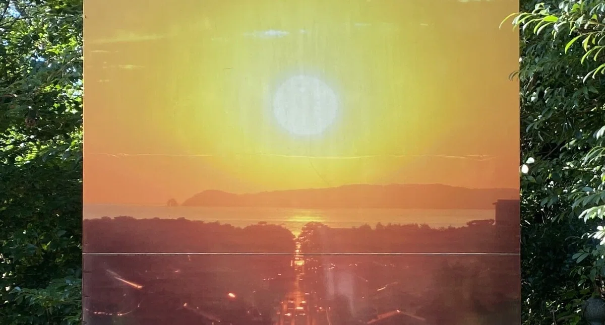 画像11