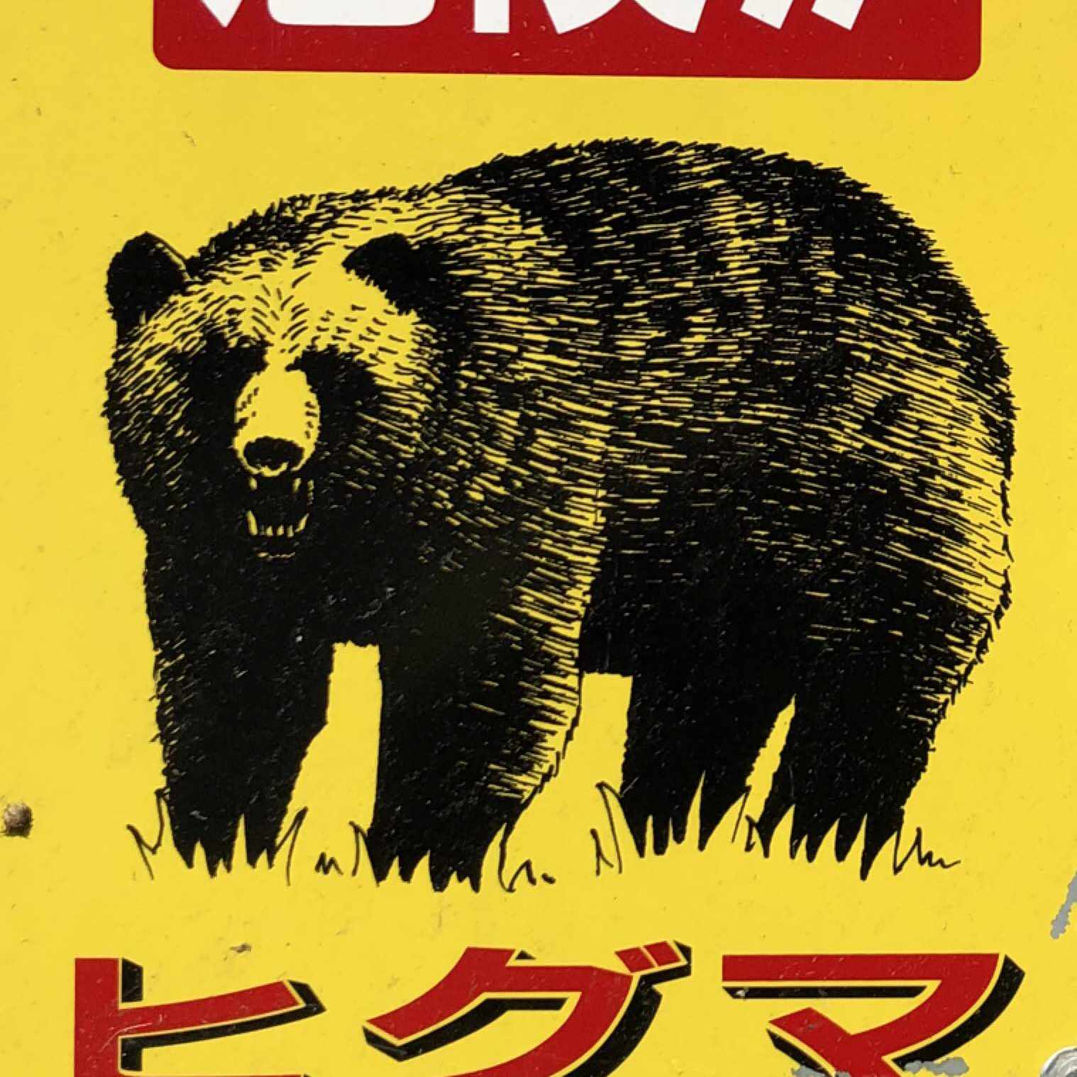 私の最後のV系バンドamber grisの思い出｜モザリサワソデル