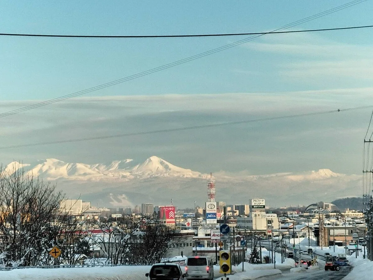 画像5
