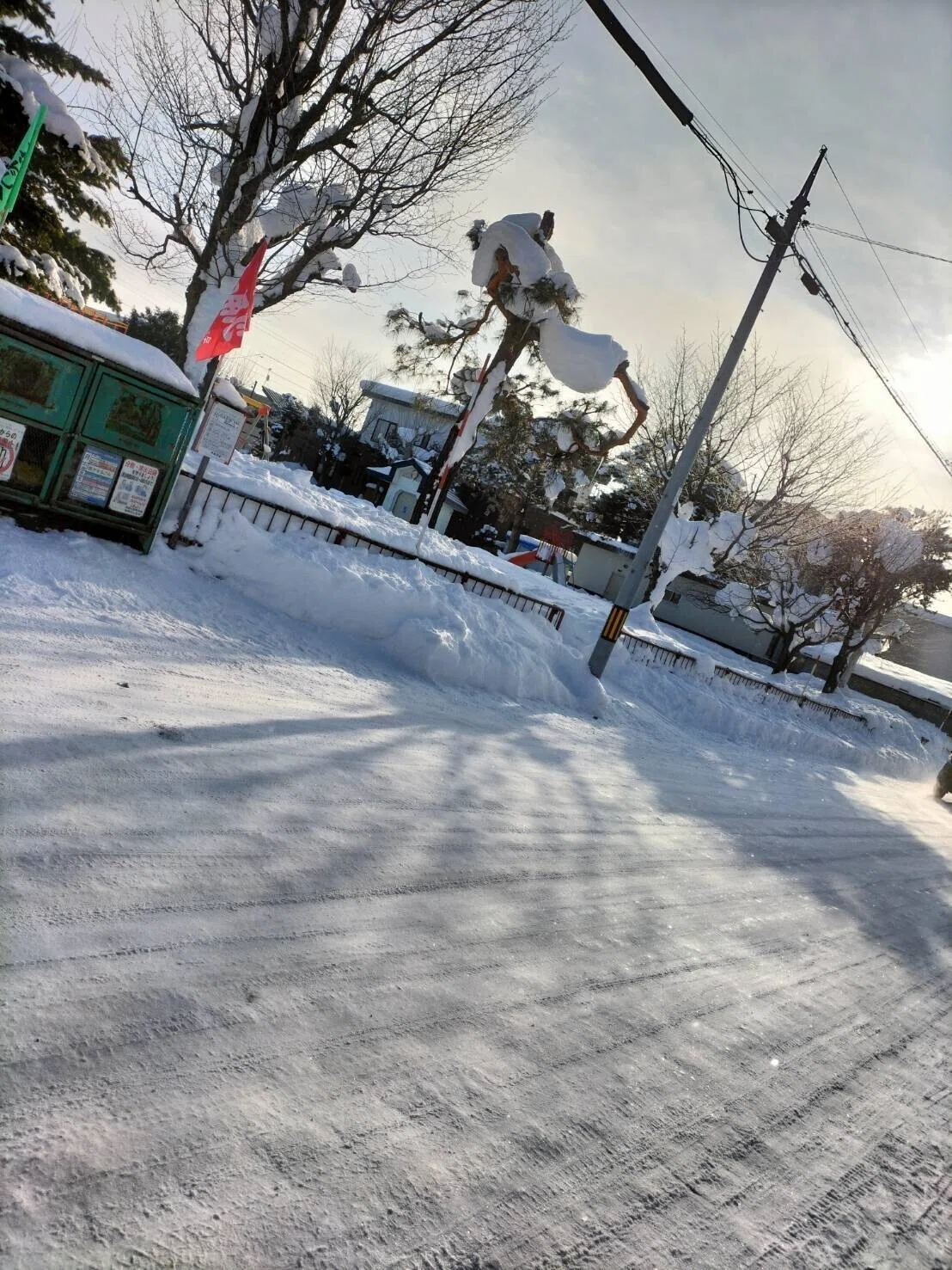 画像7