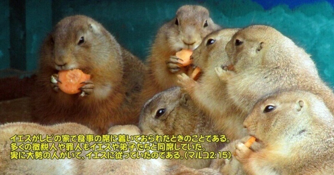 超法規的措置|たかぱん 超法規的措置|たかぱん