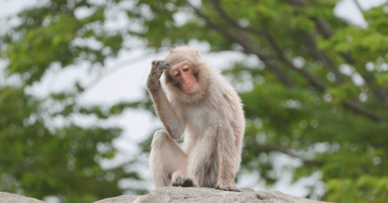 猿山の大将 人生楽太郎 Note 猿山の大将 人生楽太郎 Note