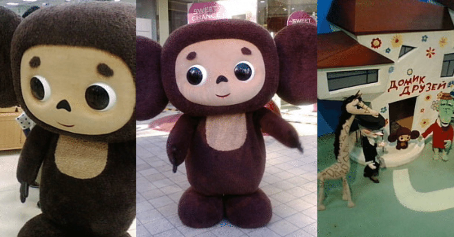 新作映画情報 チェブラーシカの新作 実写 映画の製作がロシアで始まっている ネジムラ アニメ映画ライター Note 新作映画情報 チェブラーシカの新作 実写 映画の製作がロシアで始まっている ネジムラ アニメ映画ライター Note