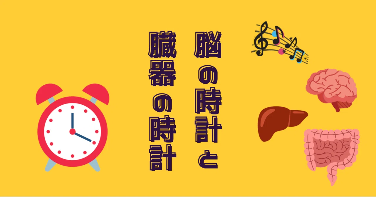 Brain Clocks, Organ Clocks｜山下あきこ
