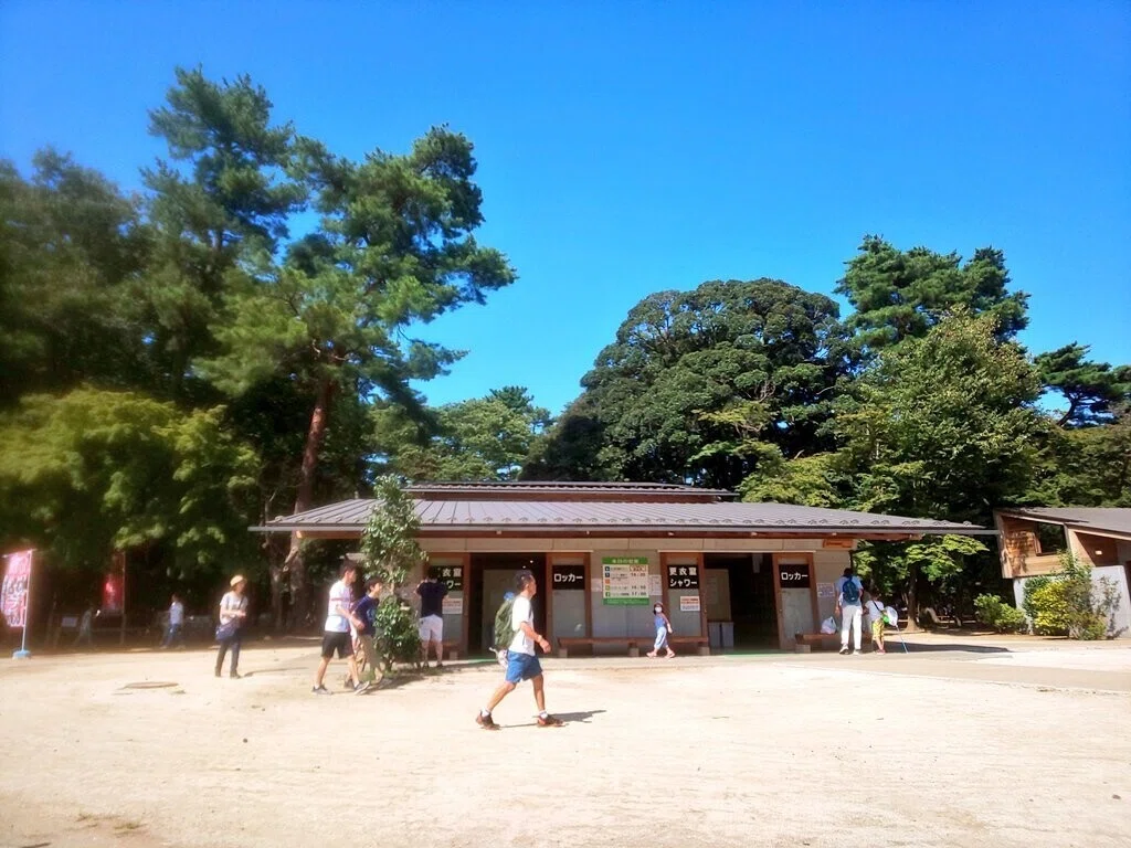 画像6