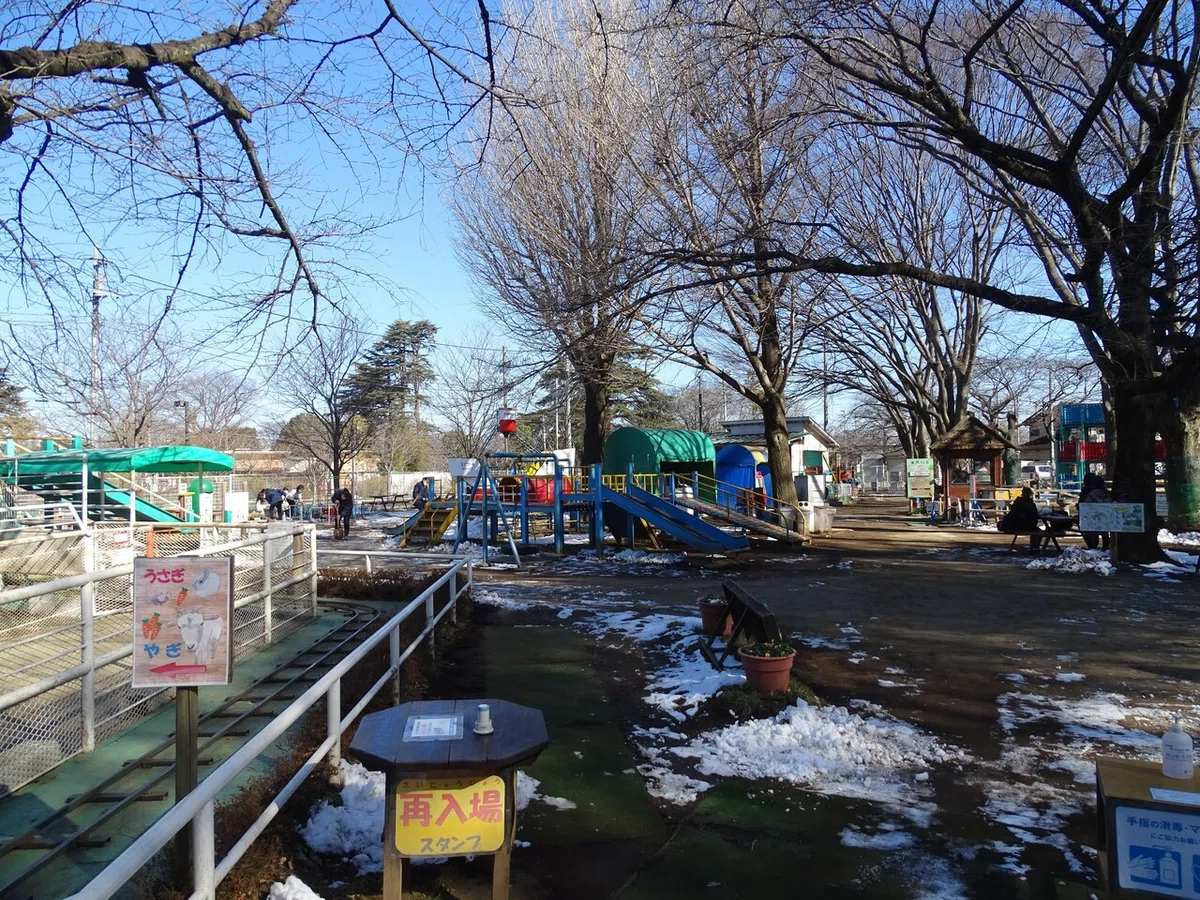 画像13