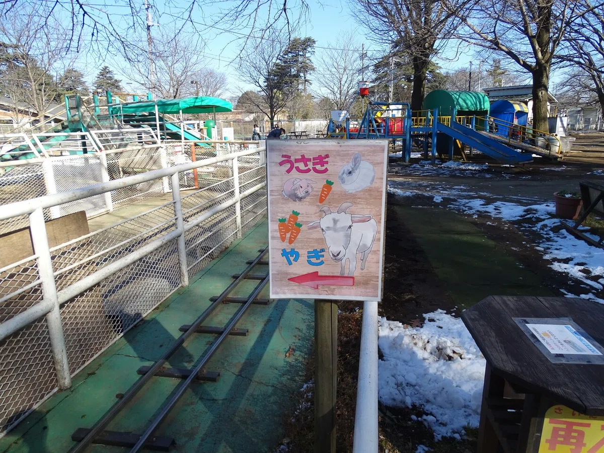 画像15