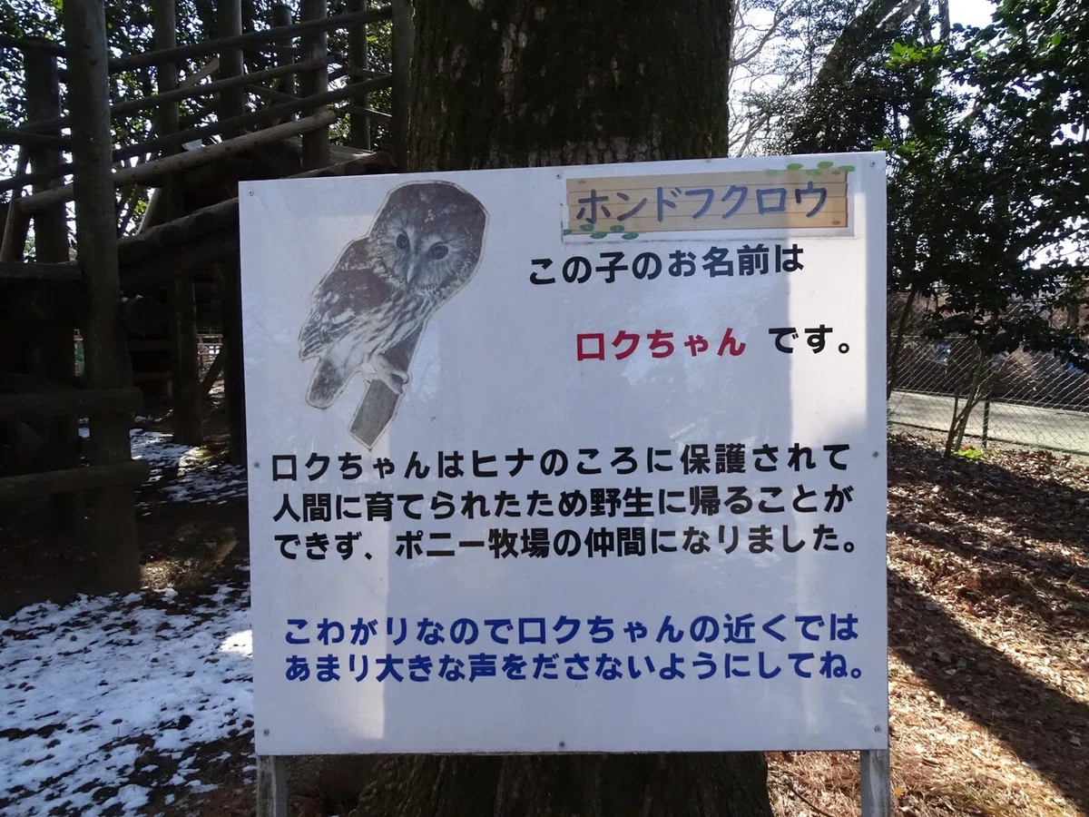 画像26
