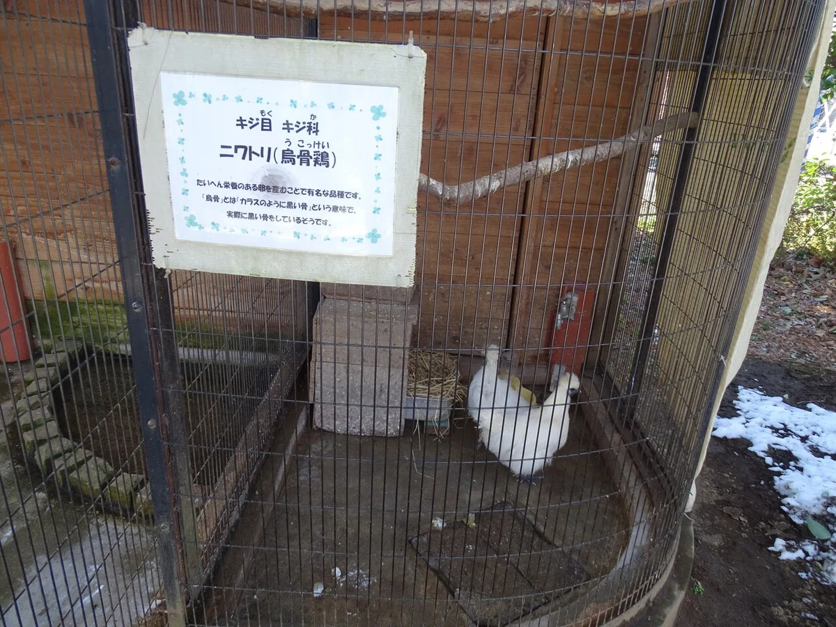 画像19