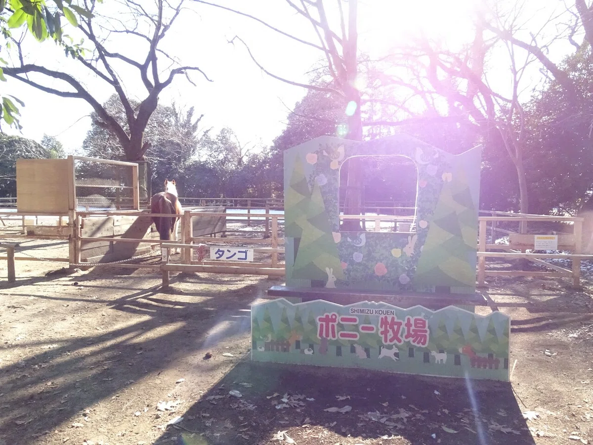 画像34