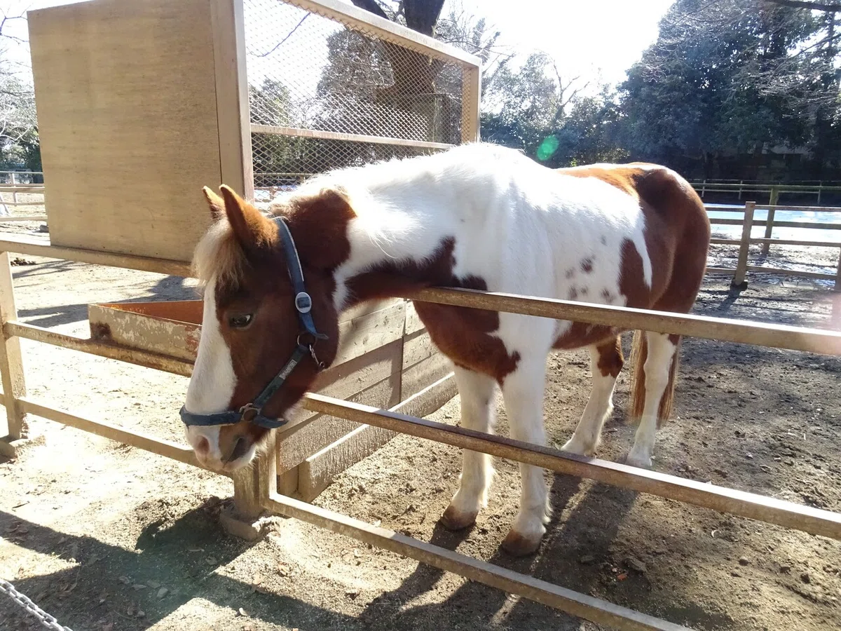 画像35