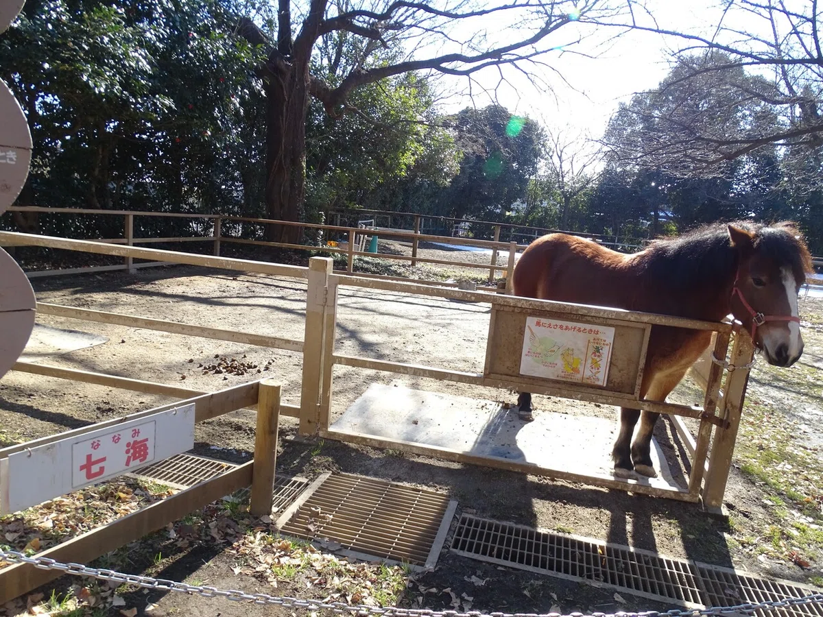 画像30