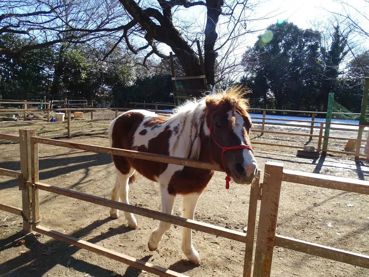 画像28