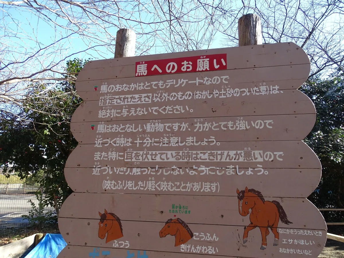 画像31