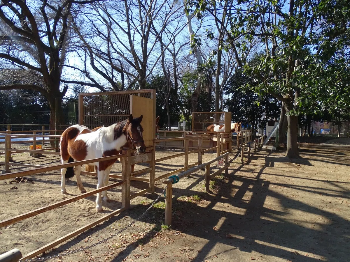 画像26
