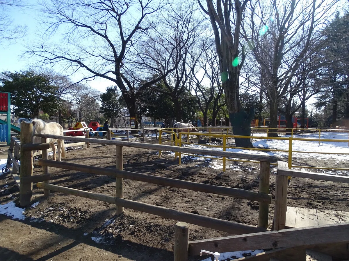 画像67